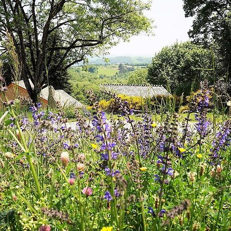 Bed and Breakfast Domaine Des Marequiers Chambre Melilot Saint-Germain-du-Teil Exterior foto