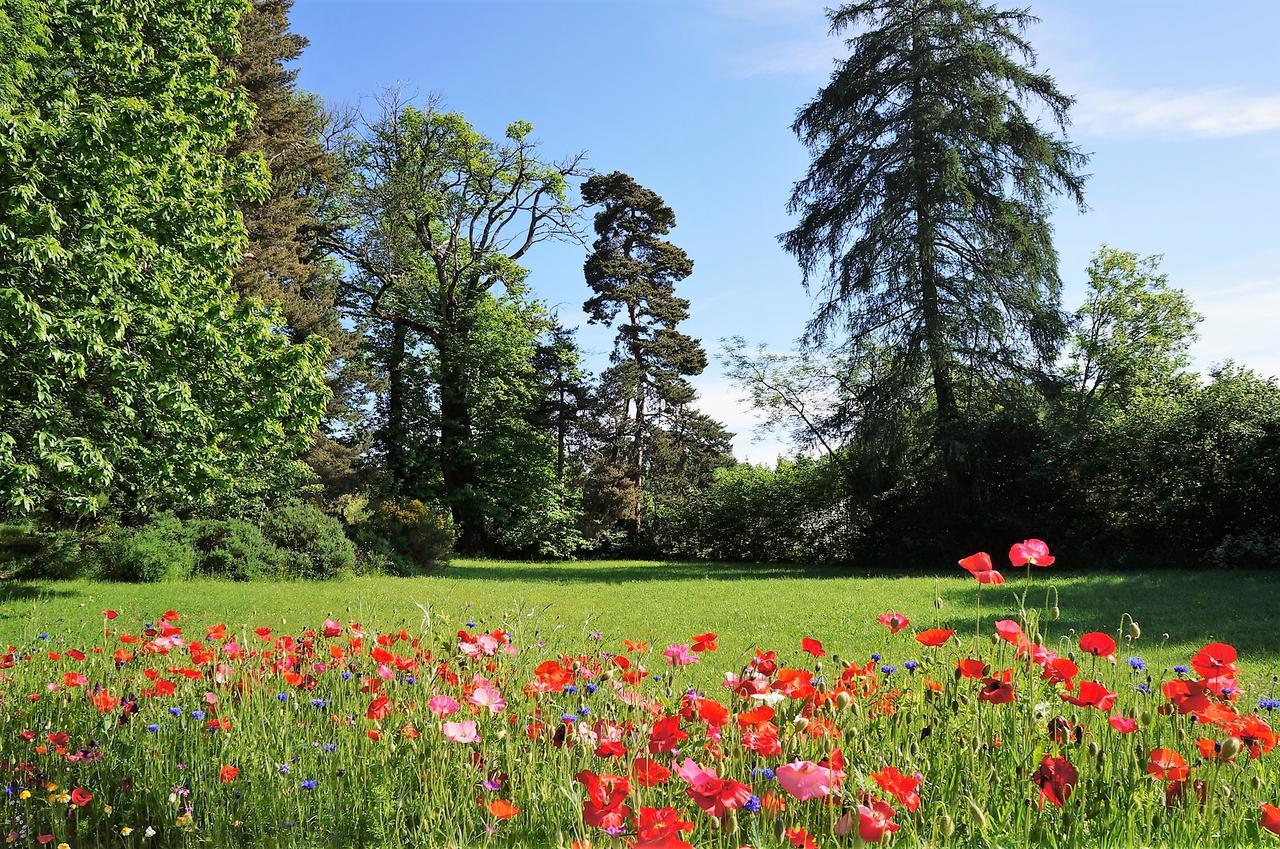 Bed and Breakfast Domaine Des Marequiers Chambre Melilot Saint-Germain-du-Teil Exterior foto