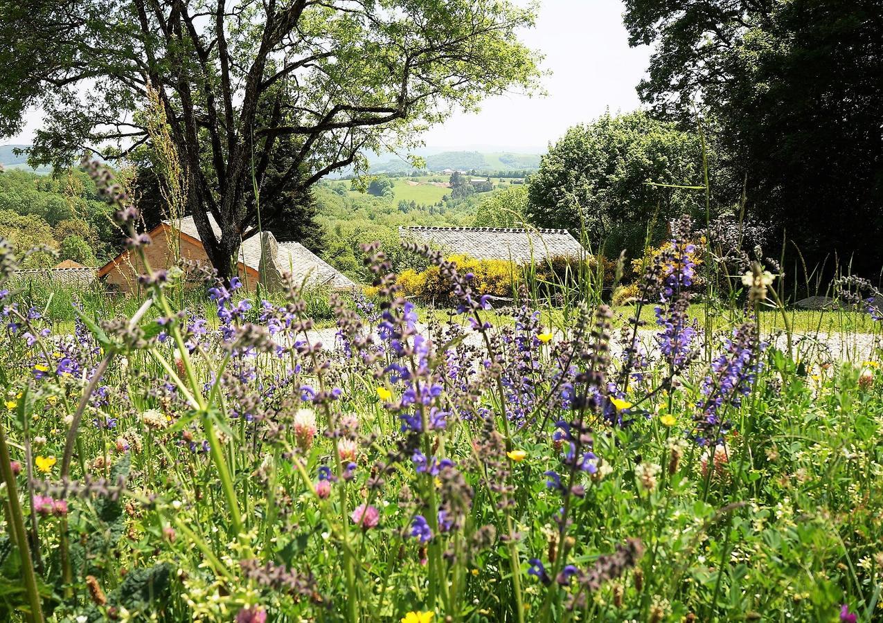 Bed and Breakfast Domaine Des Marequiers Chambre Melilot Saint-Germain-du-Teil Exterior foto